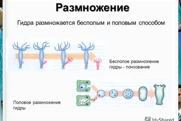 Ссылка на кракен onion kraken dark link