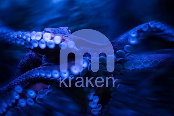 Кракен тор kraken clear com